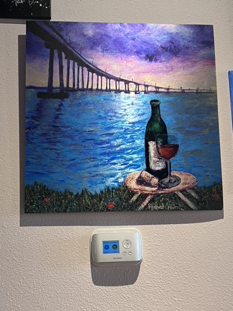 Coronado Bridge Brushed Metal Print