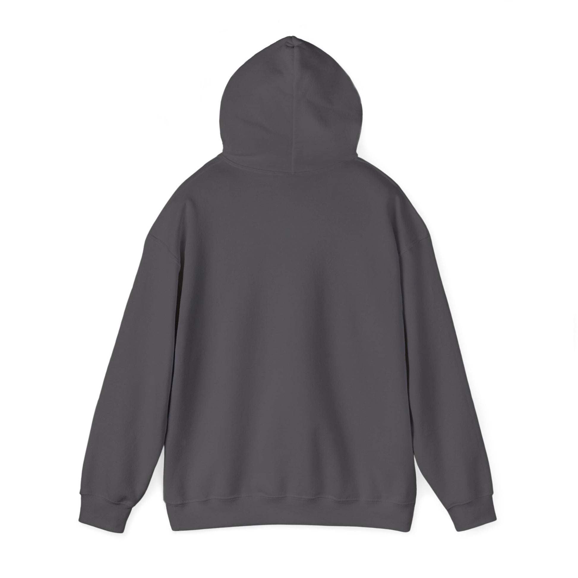 Copy of Unblurred (Blurry) - Unisex Heavy Blend™ Hooded Sweatshirt