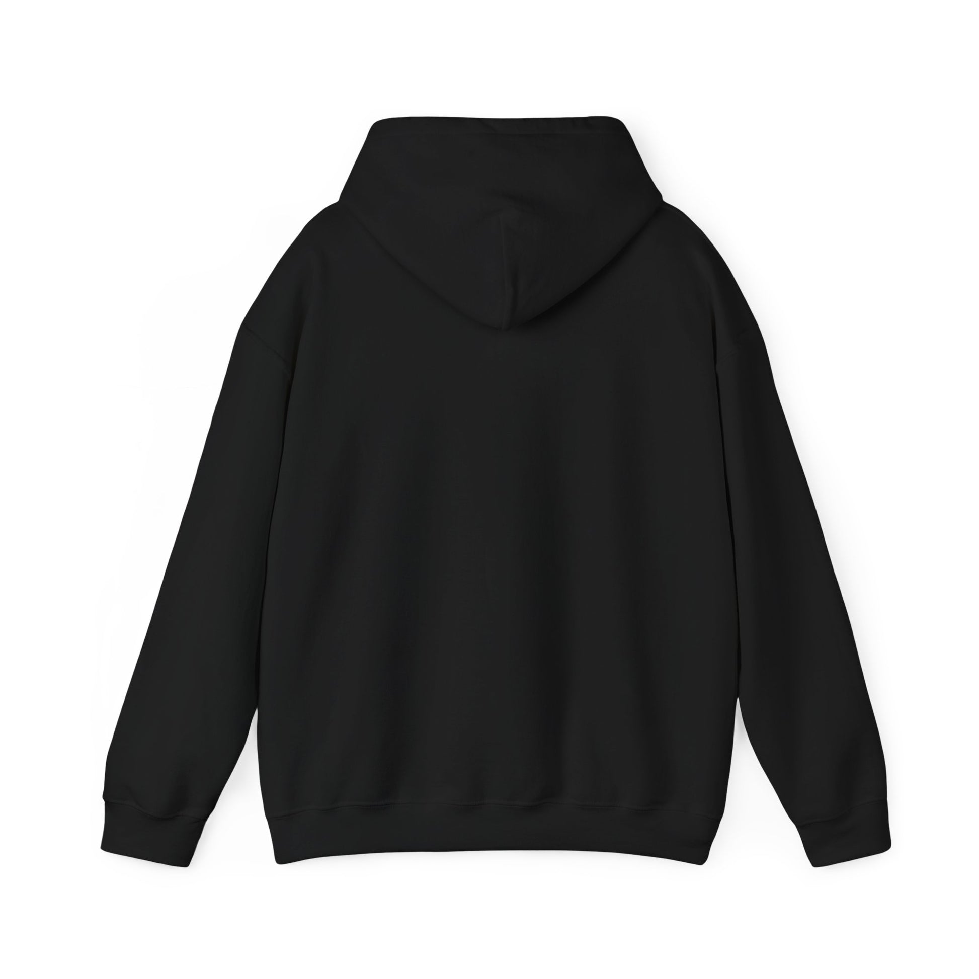Copy of Unblurred (Blurry) - Unisex Heavy Blend™ Hooded Sweatshirt