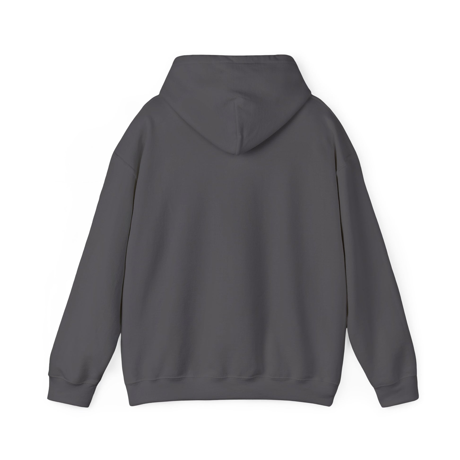 Copy of Unblurred (Blurry) - Unisex Heavy Blend™ Hooded Sweatshirt