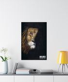Unblurred Warrior Lion Poster