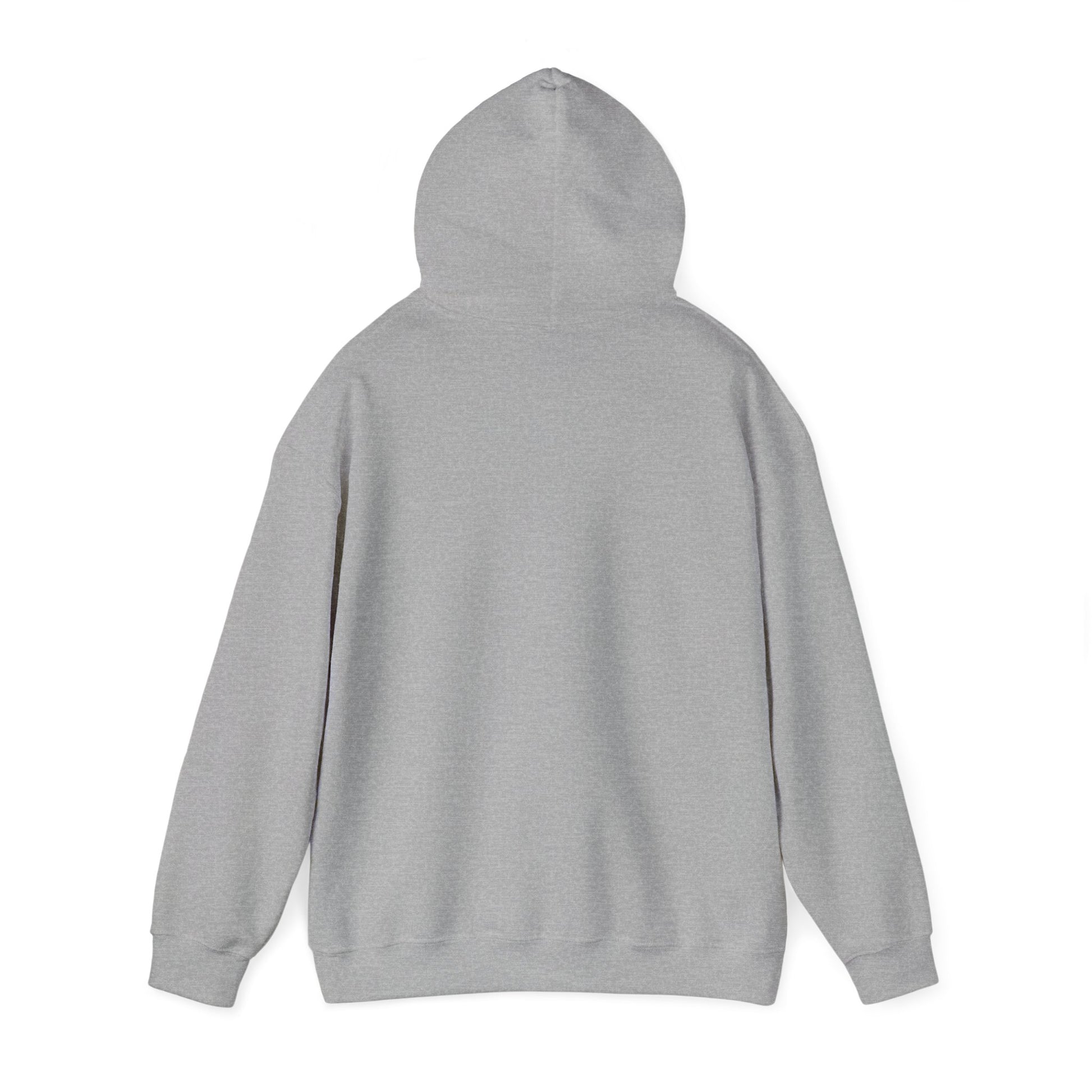 Copy of Unblurred (Blurry) - Unisex Heavy Blend™ Hooded Sweatshirt